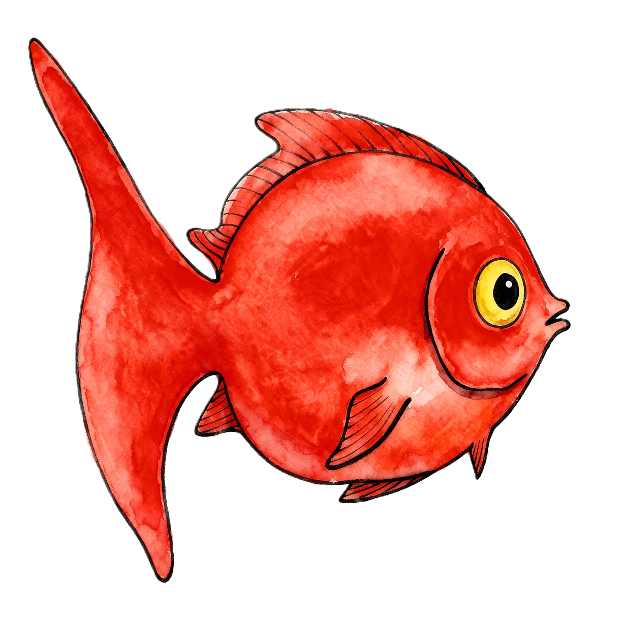 Le Petit Poisson Rouge